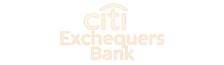 Citi Exchequers Bank Logo